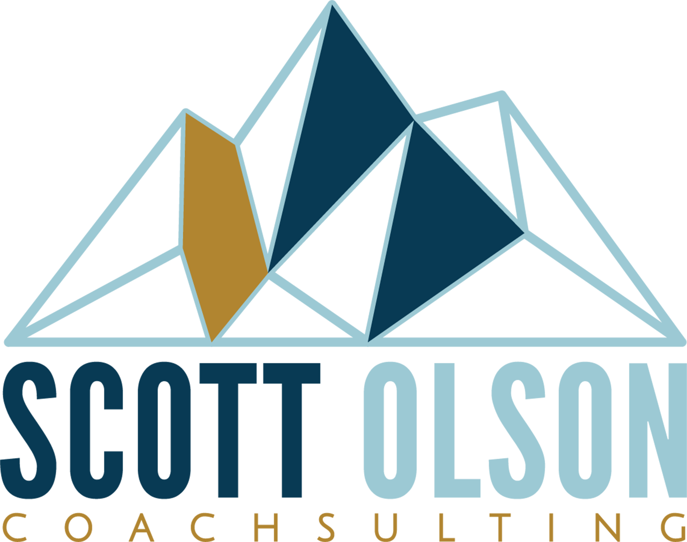 Scott Olson Coachsulting